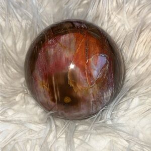 XL Petrified Wood Sphere